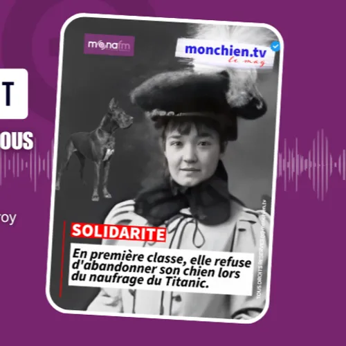 L’amour plus fort que la survie ?