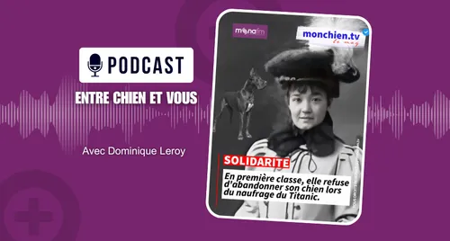 L’amour plus fort que la survie ?