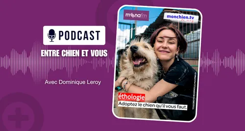 Le chien qu'il nous faut