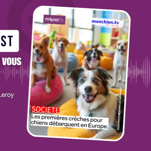 Les crèches pour chiens