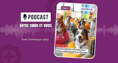 Les crèches pour chiens