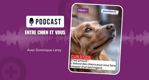 Le pouvoir des chiens