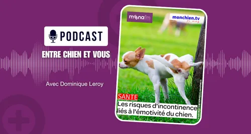 Les chiens emotifs !