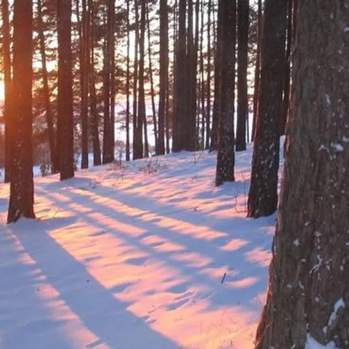 12h – De la neige attendue demain dans le Nord et le Pas de Calais 