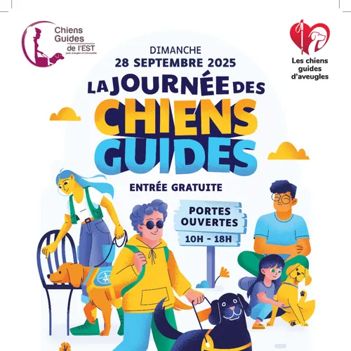 Moselle : à la découverte du monde des chiens guides 