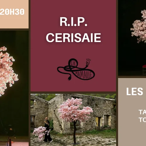 L'invité du jour : on vous dit tout sur R.I.P. Cerisaie