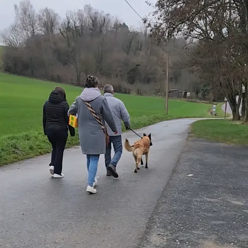 Meuse : le refuge de Cathy recherche des bénévoles