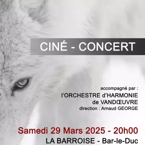L'invité du jour : on vous dit tout sur le Ciné Concert - Fragments...