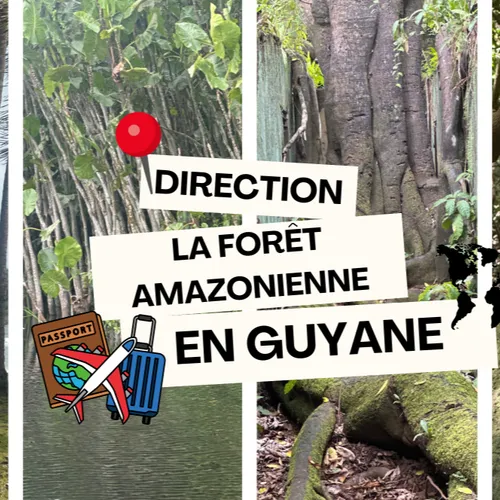 DESTINATION VOYAGE – La forêt amazonienne en Guyane