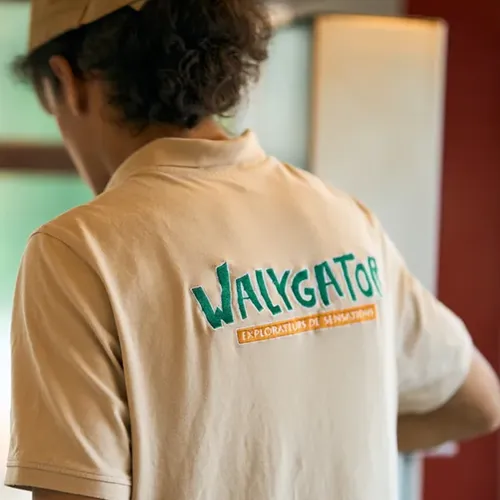 L’invité du jour : on vous dit tout sur le Job Dating à Walygator