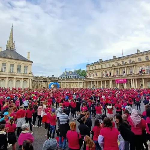 Marche-Course Octobre Rose : rendez-vous le 5 octobre !
