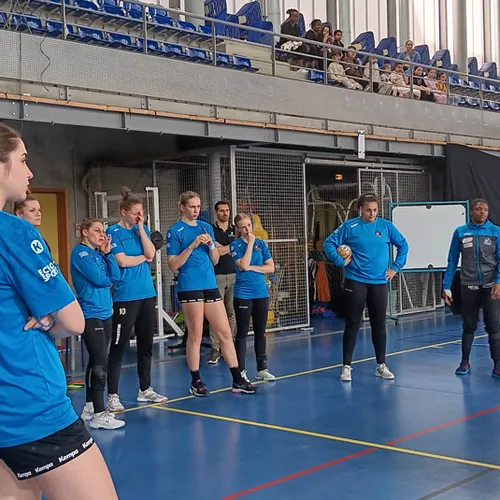 Metz Handball : Les Dragonnes continuent le combat ce week-end ! 