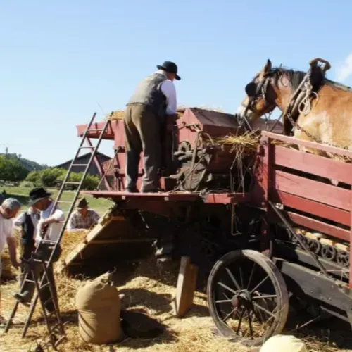 L’invité du jour : on vous dit tout sur le village des vieux métiers 