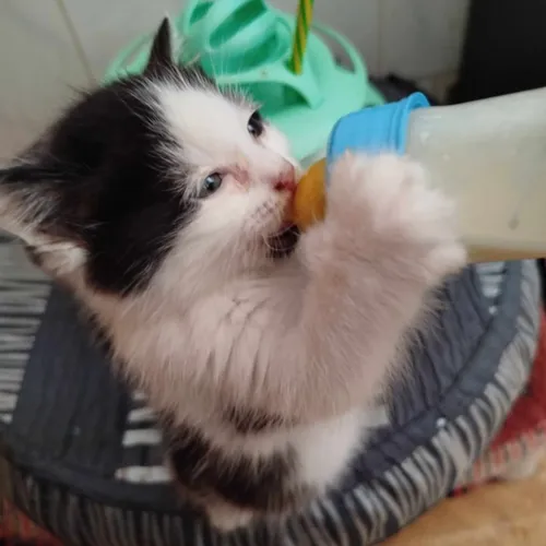 L’invité du jour : on vous dit tout sur le refuge du Perthois