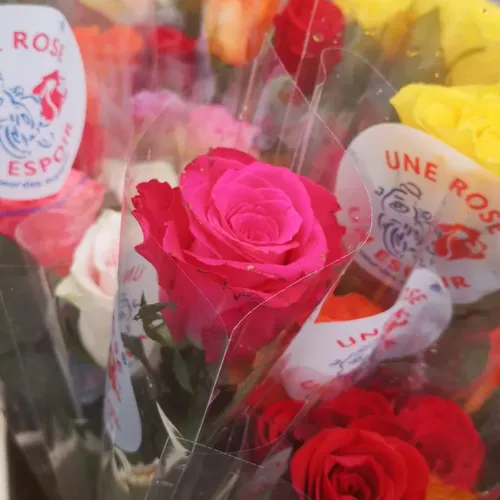 L'invité du jour : on vous dit sur "une Rose un Espoir" 
