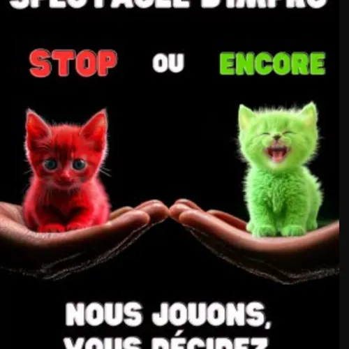 L'invité du jour : On vous dit tout sur "Stop ou encore"