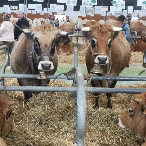 L'invité du jour : on vous dit tout sur le Salon de la basse à cour...