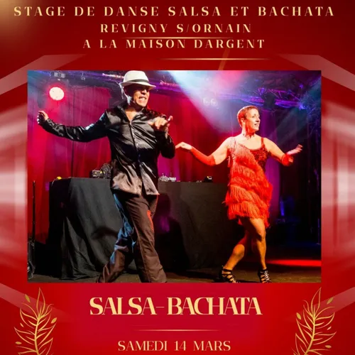 Revigny-sur-Ornain : un stage de Salsa / Bachata organisé ce samedi...