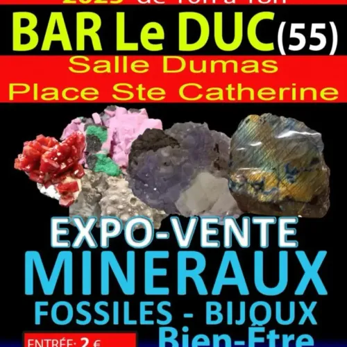 L’invité du jour : On vous dit tout sur le salon des minéraux