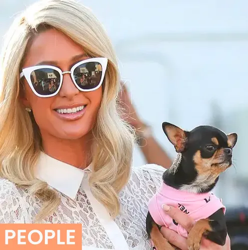 Paris Hilton prête à tout pour retrouver Diamond Baby