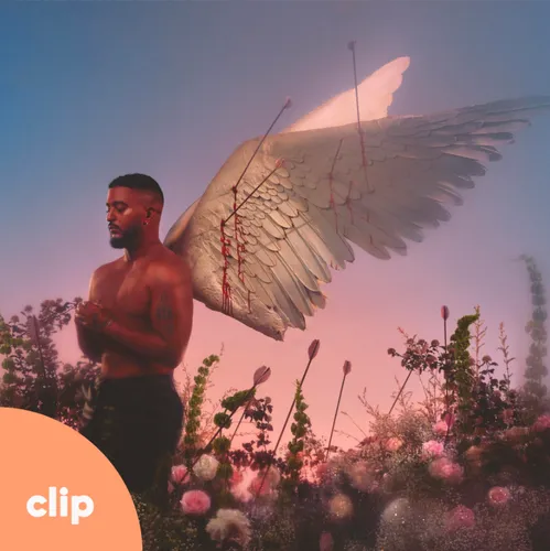 "DES MILLIERS DE JE T'AIME", Slimane