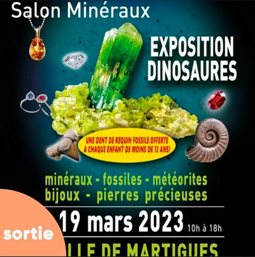 Martigues : le salon des Minéraux se prépare