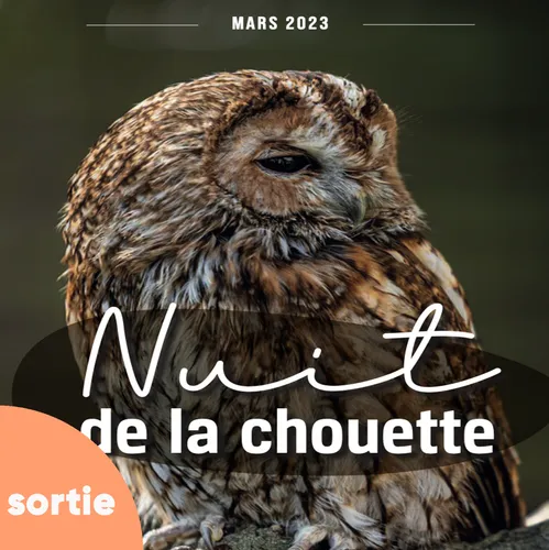 Aix organise la Nuit de la Chouette