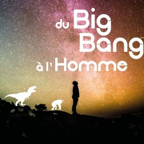DU BIG BANG À L’HOMME : L'exposition Salle des Carmes à Vic-sur-Seille