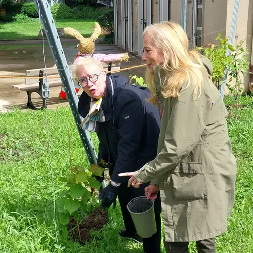 Le Jardin de la Mairie de Mulhouse