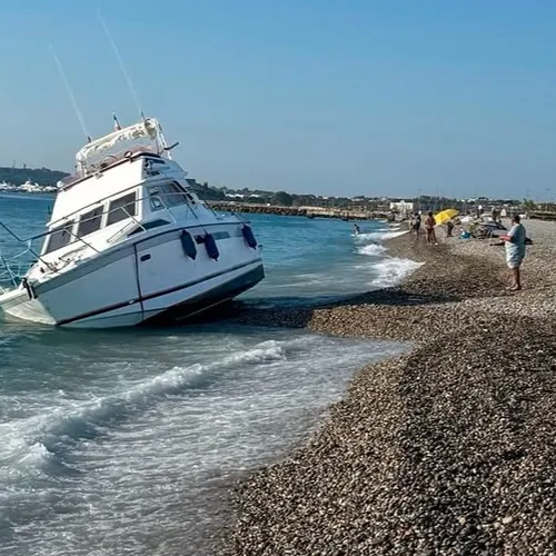 Antibes : trois plages interdites à la baignade après l’échouement...