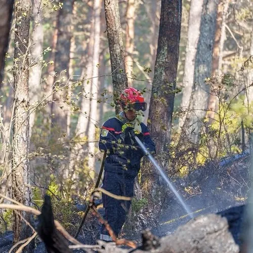 Un incendie rapidement maîtrisé à Gorbio grâce à l’intervention de...