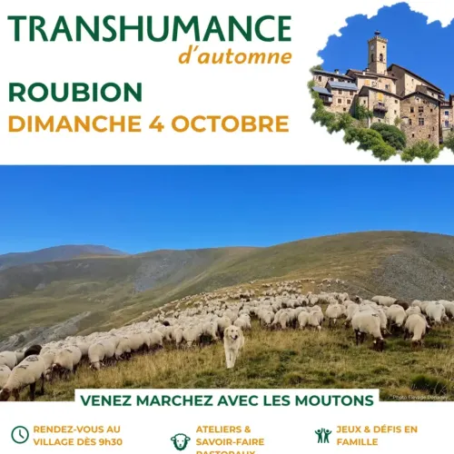 PARTENARIAT CANNES RADIO : LA TRANSHUMANCE D'AUTOMNE DE ROUBION
