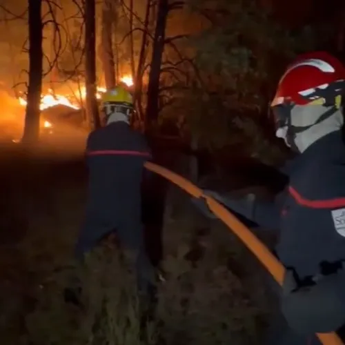 Incendie exceptionnel à Fontainebleau : 800 hectares déjà ravagés