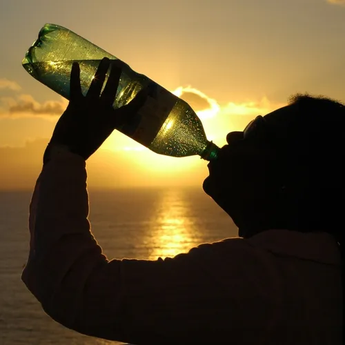 17/06/22 : ALERTE CANICULE EN FRANCE