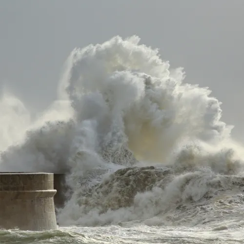Tempête Goretti : des équipes Enedis de l’Est mobilisées pour...