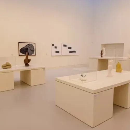 Les musées de Strasbourg enregistrent une fréquentation record en 2025