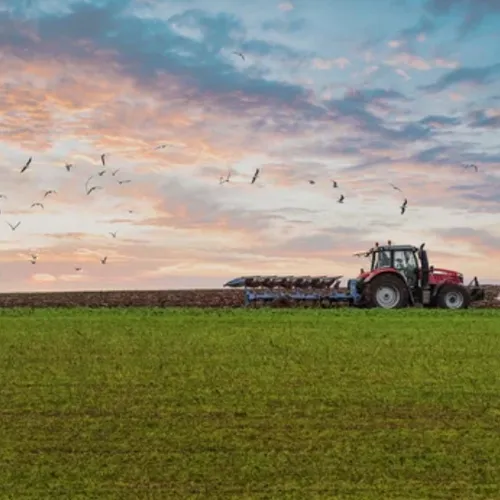 Alsace : les agriculteurs obtiennent l’annulation de la hausse de...
