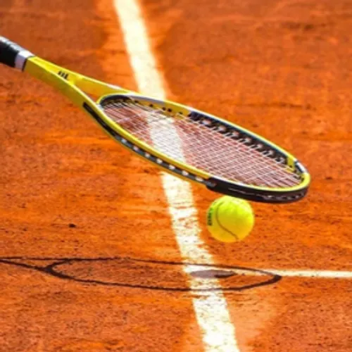 Roland-Garros : Pierre-Hugues Herbert et Quentin Halys stoppés en...