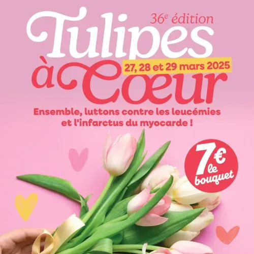 Les tulipes à coeur
