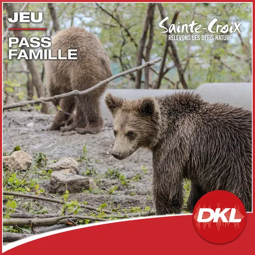 DKL vous offre votre pass famille au Parc de Sainte-Croix !