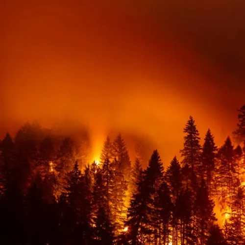 18/04/23 : Pyrénées Orientales : le feu est maîtrisé 