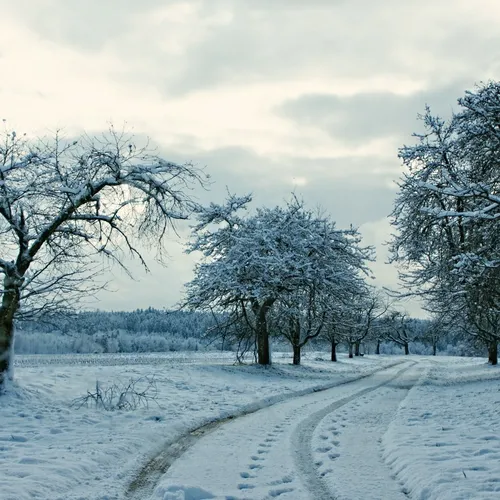 10/01/24 : METEO : de nombreux départements sont placés en risque...