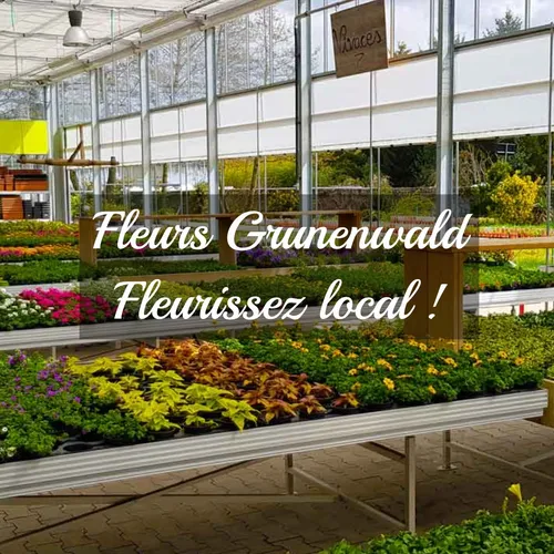 DKL & Fleurs Grunenwald : un partenariat qui fait fleurir vos envies