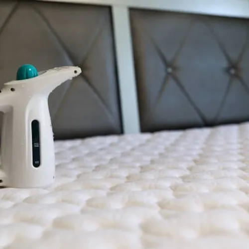 5/12/23 : Punaises de lit : l'ANSES alerte sur un insecticide