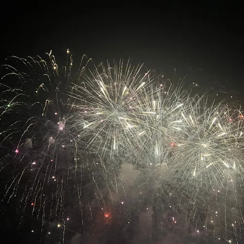 Les célébrations du 14 juillet marquées hier soir par un feu...