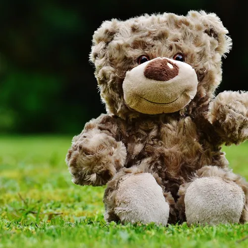 Collecte de jouets et Forum de la Défense : deux rendez-vous avec...