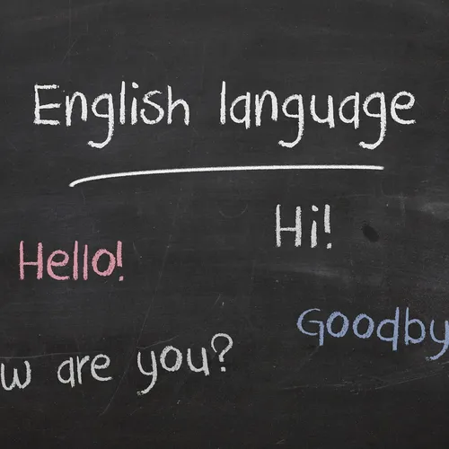 Cannes : l’anglais, la lecture et le jardinage au programme des...