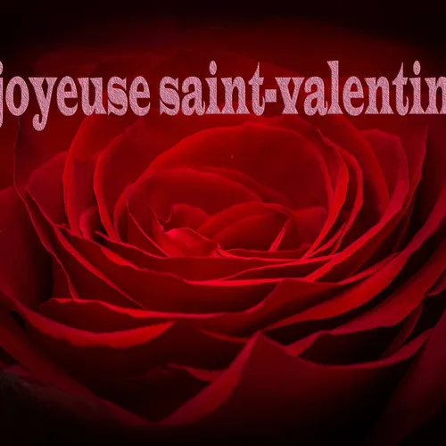 C’est aujourd’hui la Saint-Valentin.  Cannes Radio a sélectionné...