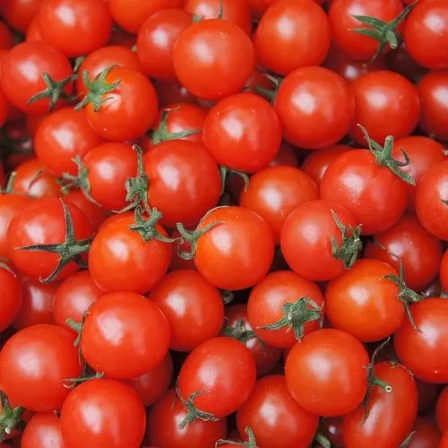 Salmonellose : les tomates cerises siciliennes suspectées d’un...