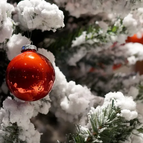 Cannes récompense les plus belles vitrines de Noël